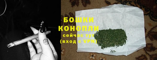 твердый Ладушкин