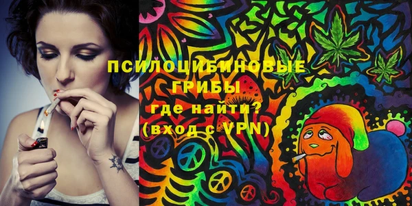 PSILOCYBIN Липки