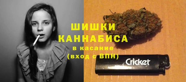 мдпв Лиски
