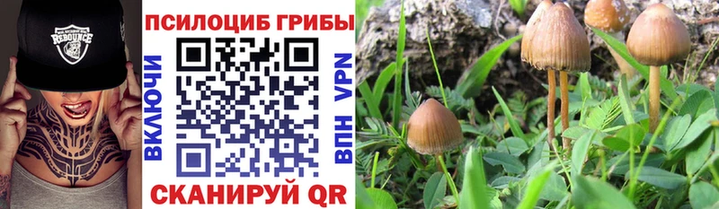 МЕГА ONION цены наркотик Набережные Челны Галлюциногенные грибы Magic Shrooms
