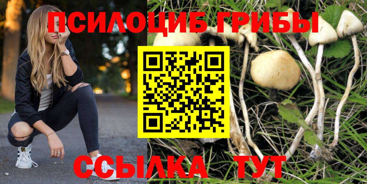 Псилоцибиновые грибы прущие грибы  Набережные Челны 