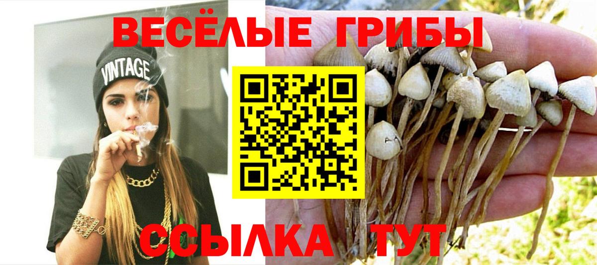 Псилоцибиновые грибы мухоморы Набережные Челны